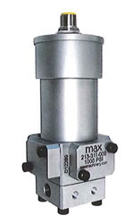 Micro Flow Meter Standard type MODEL P213/295F