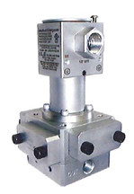 Micro/Middle Flow Meter Explosion proof type MODEL P214/EX295F